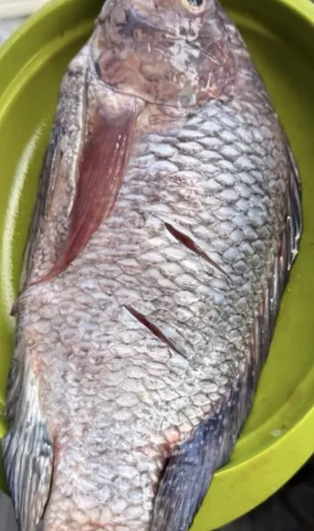 Ikan Bawal olah